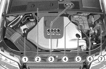  Текущий уход и обслуживание Audi A4
