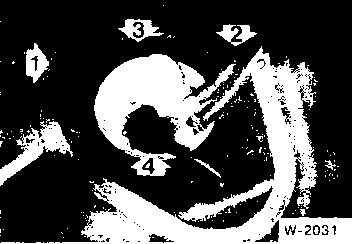  width=