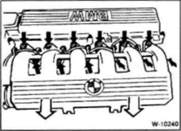 width=