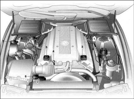  График текущего обслуживания BMW 5 (E39)