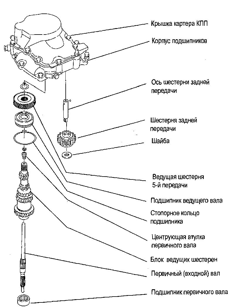 4.2 Ведущий (входной) вал