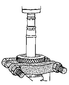 width=