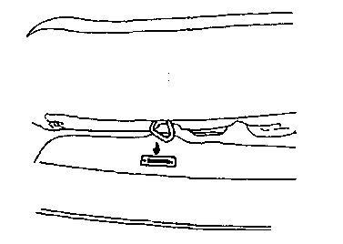 width=