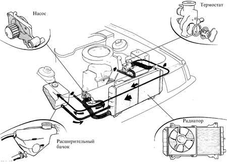  Замена охлаждающей жидкости Ford Escort
