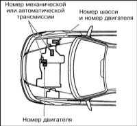 1.3 Идентификационные номера автомобиля