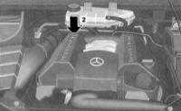  Идентификационные номера автомобиля Mercedes-Benz W163
