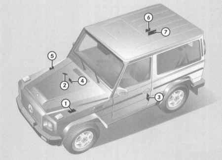 1.3 Идентификационные номера автомобиля