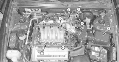  Общая информация Nissan Maxima QX