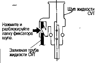 width=