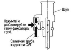width=