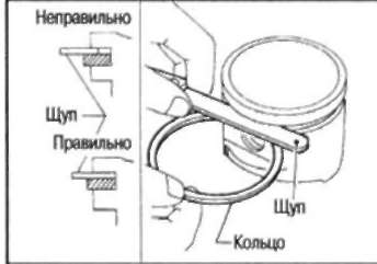 width=
