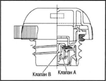 width=