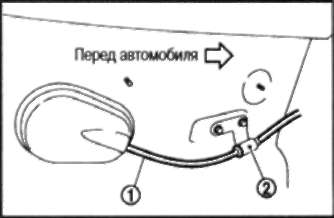 width=