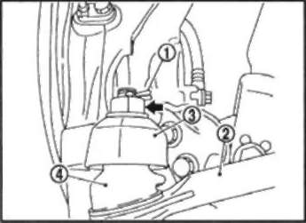 width=