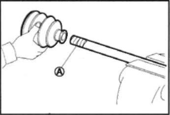 width=