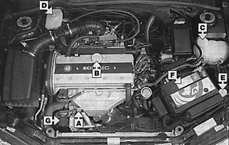  Места еженедельных проверок Opel Vectra B