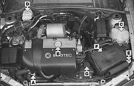 Места еженедельных проверок Opel Vectra B