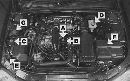  Места еженедельной проверки Peugeot 406