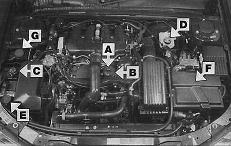 Места еженедельной проверки Peugeot 406