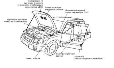 1.2 Идентификационные номера автомобиля
